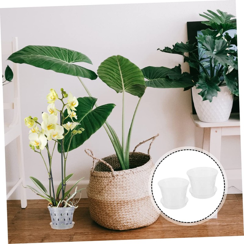 BESPORTBLE 2sets Transparent Orchid Pots with Drainage and Saucers Breathable