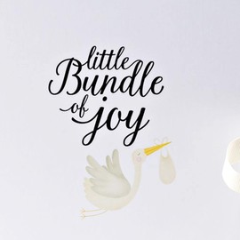 Baby Photo Album - 4'x6' - Stork Design - White Bundle of Joy