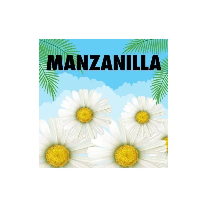Shampoo Manzanilla L´oréal Kids Todo Tipo De Cabello 265 Ml