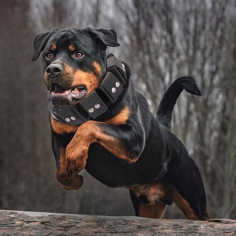 Walktime Tactical Weighted Dog Collar - Weights for Training &