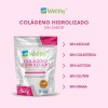 Suplemento en polvo Wellthy Colágeno Hidrolizado