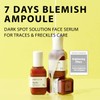 AMPLE:N [AMPLE:N]Blemi Shot Ampoule 50ml