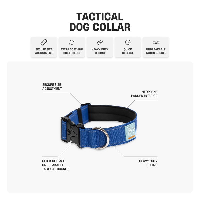 DF Co. Tactical Dog Collar | Comfortable & Secure with