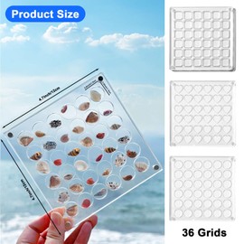 MARUKO Shell Display Box, Magnetic Shell Display Case Made of Acrylic, Magnetic Seashell Display Box Compartment Container for Beads, Nails, Jewellery (Round)