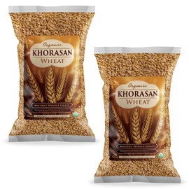 Khorasan Wheat - 100% Certified Organic Khorasan Whole Wheat Grain by PowerGrow System - Use for Sourdough Baking, Milling Flour, Cereal, Salads, Pasta etc. (Khorasan Wheat (10 Pounds))