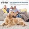 Flintar Vital 200S Toxin/Smoke Absorber Replacement Filter, Compatible with LEVOIT
