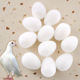 DQITJ 50 Pcs Pigeon Eggs Simulation of Solid Plastic Pigeon Eggs for Pigeons Breeding Nest Training Poultry Supplies