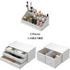 READAEER Makeup Organizer 3 Pieces Cosmetic Storage Case with 6