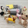 4D Standing Animal Balloons Pet Dog Foil Balloons, 2Pcs Cute