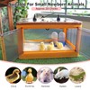 Chicken Brooder Box for Chicks Chicken Brooder Box Kit with