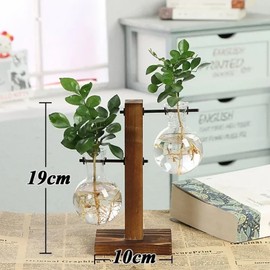Wooden Frame Tabletop Vase Multipurpose Bonsai Planter Hydroponic Base Leeum Display Container Home Decor Center, 04 Type C, 1 Piece / 나무 프레임 탁상 꽃병 다목적 분재 화분 수경 기본 리움 디스플레이 컨테이너 홈 장식 센터, 04 Type C, 1개