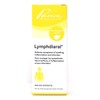 Pascoe – Lymphdiaral Drops – 50 mL – Homeopathic remedy