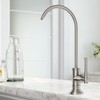 KRAUS Allyn 100% Lead-Free Kitchen Water Filter Faucet in Spot