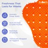 Orange Scented Urinal Splash Guard (12-Pack) Anti Splash Urinal Screen