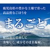 NICHIGA(ニチガ) 鹿児島県産 ごぼう茶 300ｇ 桜島溶岩焙煎 まるごと皮付きゴボウ茶 (牛蒡茶) ノンカフェイン [01]