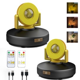 Wireless LED Spotlight 2 Pack, Rechargeable Uplights Picture Lights with Remote, Battery Powered Stick Spot Lights Puck Light with Timer Dimmable for Wall Accent Display Dartboard Painting Closet