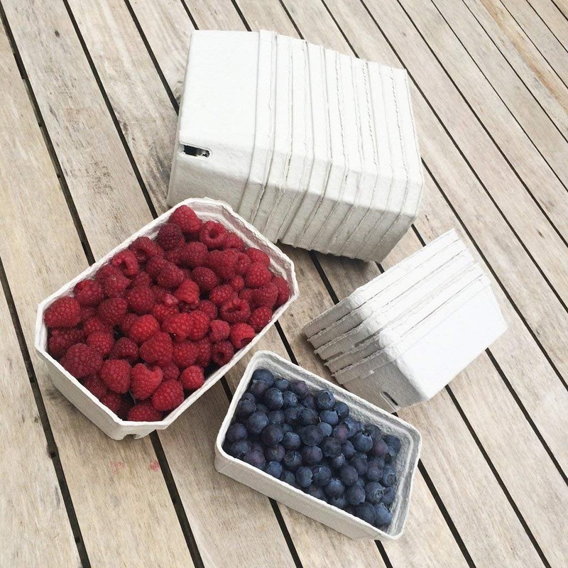 Nutley's Biodegradable fibre Fruit Punnets 50 Pack (250g) - Eco-Friendly
