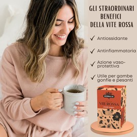 HERBALIA - Red Grapevine Tea in Tea Bags, Grapevine Infusion Set with 40 Tea Bags without Metal Clips, 40g Red Grapevine for Teas and Herbal Teas