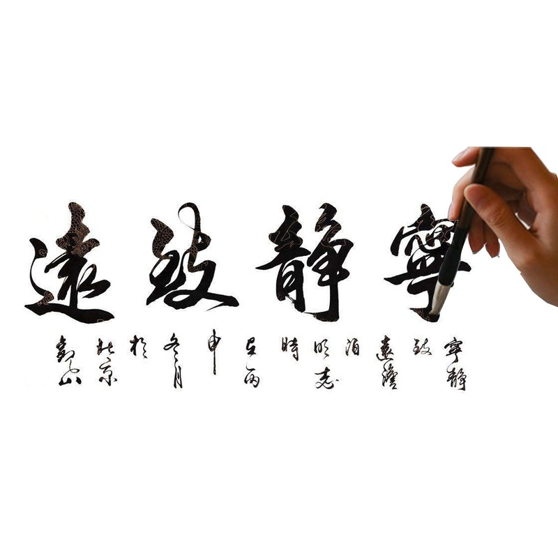 WDEC 10 Pcs Chinese Calligraphy Brushes Set, Calligraphy Brush, Writing