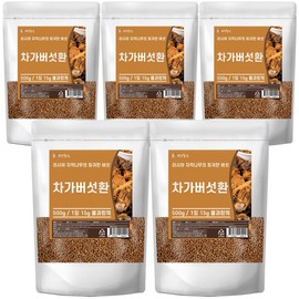 5 Russian chaga mushroom pills 500g / 러시아 차가버섯환 500g 5개