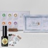 Daily Gel After the Rain 6 Piece Set Magnetic Gel