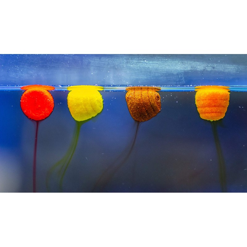 Haldorado Tornado Smoking or Bleeding Pellet Boilie Bait, Wafters for