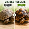 TARANDUS Reptile Shell Balm, Turtle Shell Care Conditioner for Tortoise,
