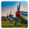 Sam Sandor - Ircraft Airplane Mustang War Plane -Light Switch