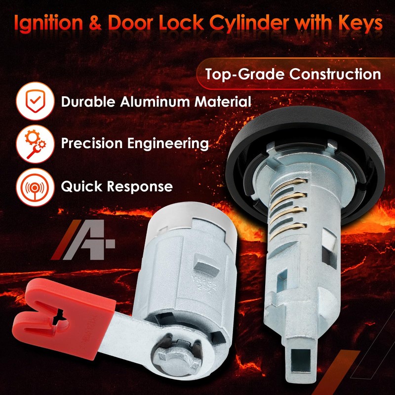 Ignition Switch & Door Lock Cylinder with Keys (with Chip),