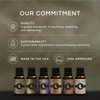 Eternal Essence Oils - Frankincense Premium Grade Fragrance Oil -