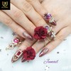 ❗Limited❗ Passion Rose Handmade Nail Tips - Long Almond /
