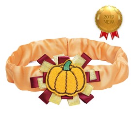 Blueberry Pet Thanksgiving Fall Charm Pumpkin Dog Collar Cover for Small, Medium, Large Collars, Holiday Decorative Accessory for Pet Collar