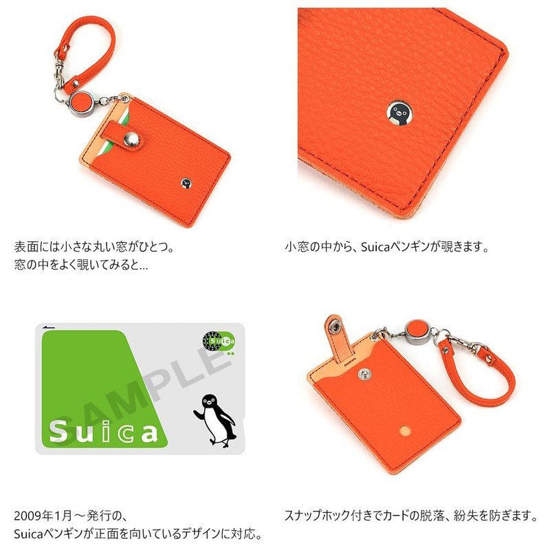 Agility affa Pisto Pass Case with Reel for Commuter Passes,