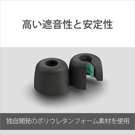 Sony EP-NI1000 Noise Isolation Earpiece : Small EP-NI1000S