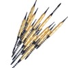 12Pcs Darts Set Professional Darts Kit with 100pcs Tip 30pcs