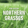 Roundup for Lawns₁ Ready-to-Use with Trigger Sprayer, Tough Weed Killer