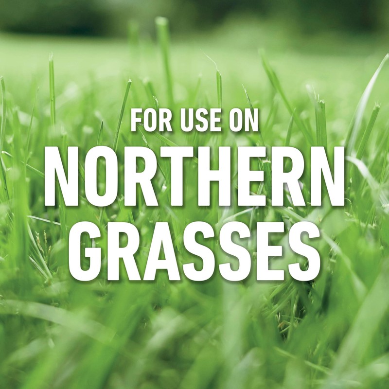 Roundup for Lawns₁ Ready-to-Use with Trigger Sprayer, Tough Weed Killer