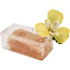 Pioneer Plastics 155C Clear Rectangular Plastic Container, 4.3125" W x