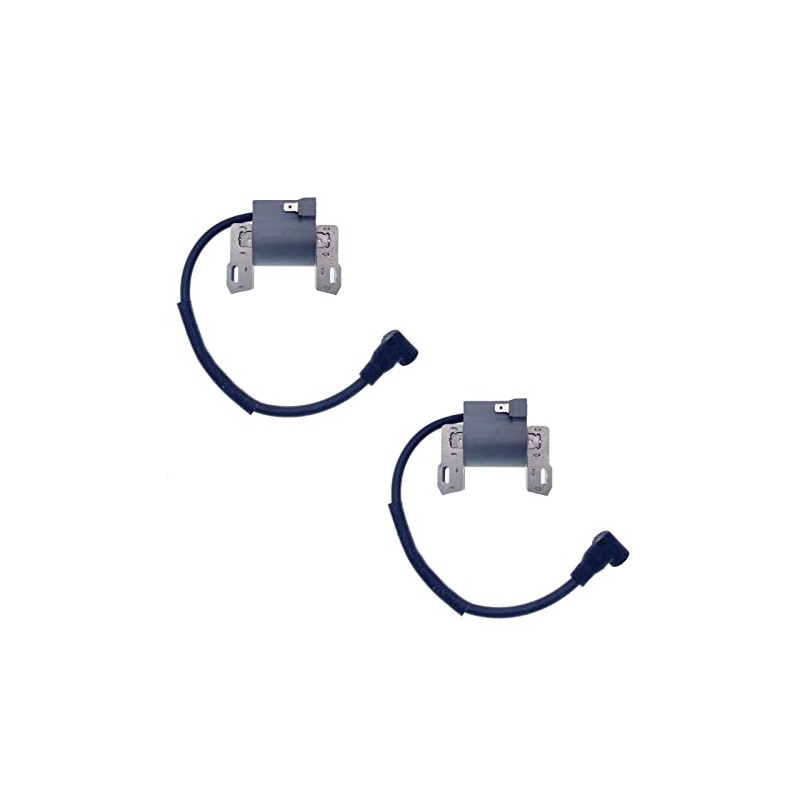 IGCLINIC 2Pcs Ignition Coil Compatible with Briggs & Stratton 401000