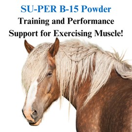 SU-PER B-15 Vitamin Supplement for Horses - Equine Vitamin B-15 Powder for Performance Support - 2.5 Pounds, (2 Pack)