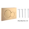 Dual Flush Actuator Plate Compatible with Geberit 115.770.46.6 Wall Mount