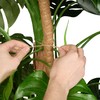 Relaxdays Coconut Sticks Set of 5 Flexible Plant Sticks for
