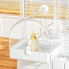 Bird Bath, Parakeet, Bathing, Bird, Large Size, Birdcage Accessory, Outside