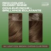 Clairol Natural Instincts Demi-Permanent Hair Dye, 6A Light Cool Brown