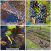 Pond Netting Shield for Leaves,Protects Koi Fish from Birds Cats