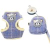 ABRRLO Dog Cat Harness Lead Set with Pouch, Small and