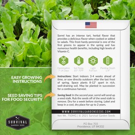 1 Pack Sorrel Seed for Planting - Packet with Instructions to Plant and Grow Rumex Acetosa Tangy Herb and Salad Greens in Your Home Vegetable Garden - Non-GMO Heirloom Variety - Survival Garden Seeds