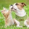 TRUEIN Puppy Harness for Small Dogs, Adjustable, No Pull, Reflective,