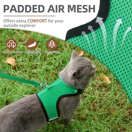 PUPTECK Soft Mesh Cat Vest Harness and Leash Set Puppy Padded Pet Harnesses Escape Proof for Cats Small Dogs Rabbits Bunny, Deep Green Medium