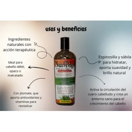 Shampoo Jitomate Romero Y Sabila Para Crecimiento Acelerado